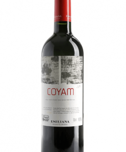 VINH CHIL EMILIANA COYAM 750