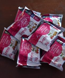 CRAMBERRY COCO E AMENDOAS PHINUS 25GR