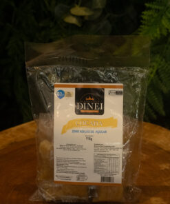 COCADA DIET DINEI 110G